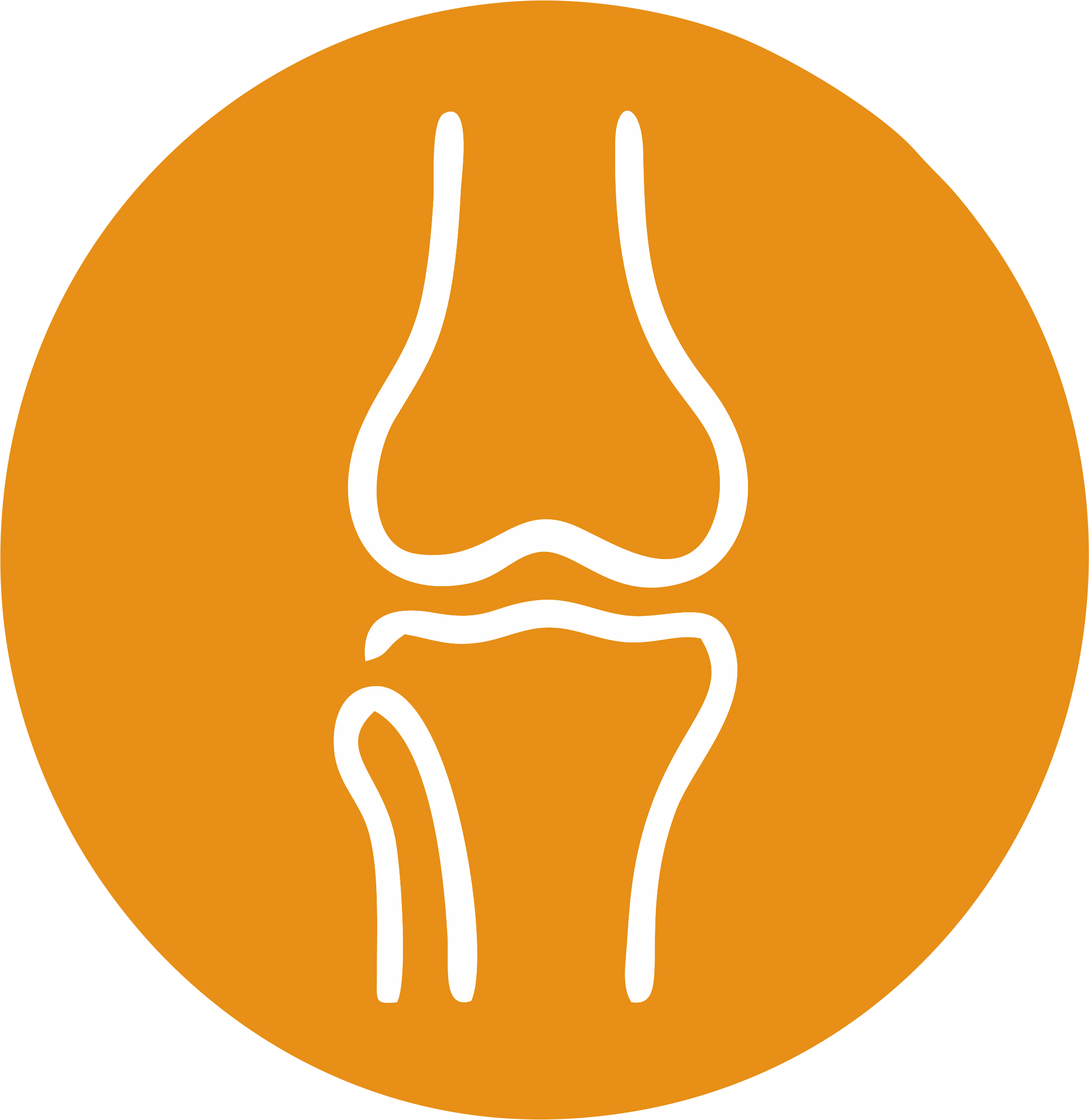 Orthopaedic Trauma & Spine